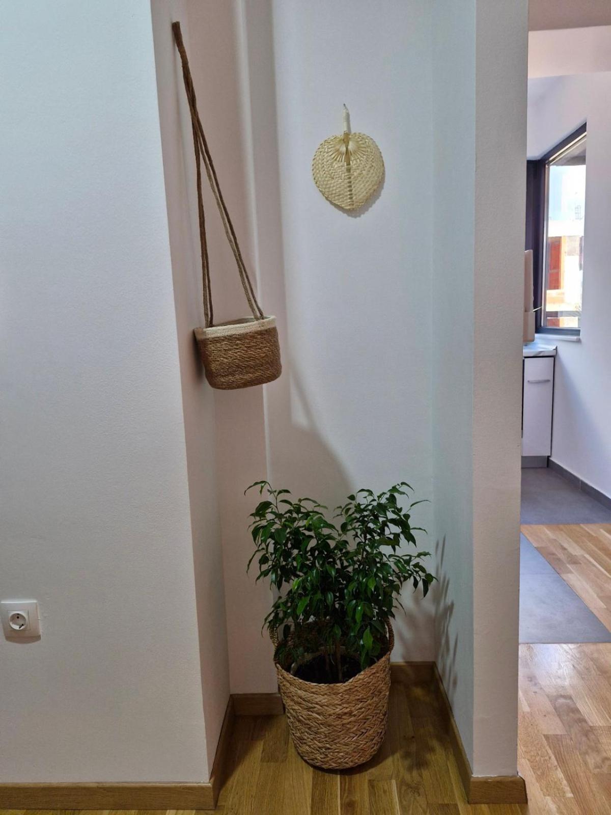 Boho Center Daire *